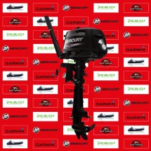 Mercury 4hp Outboard Engine