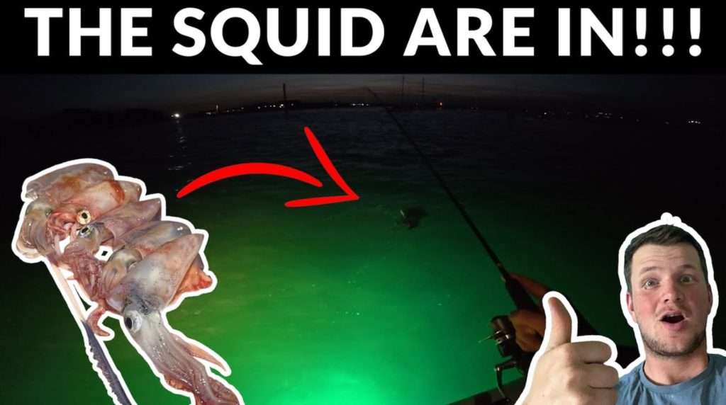 Squid are in!! man with thumbs up